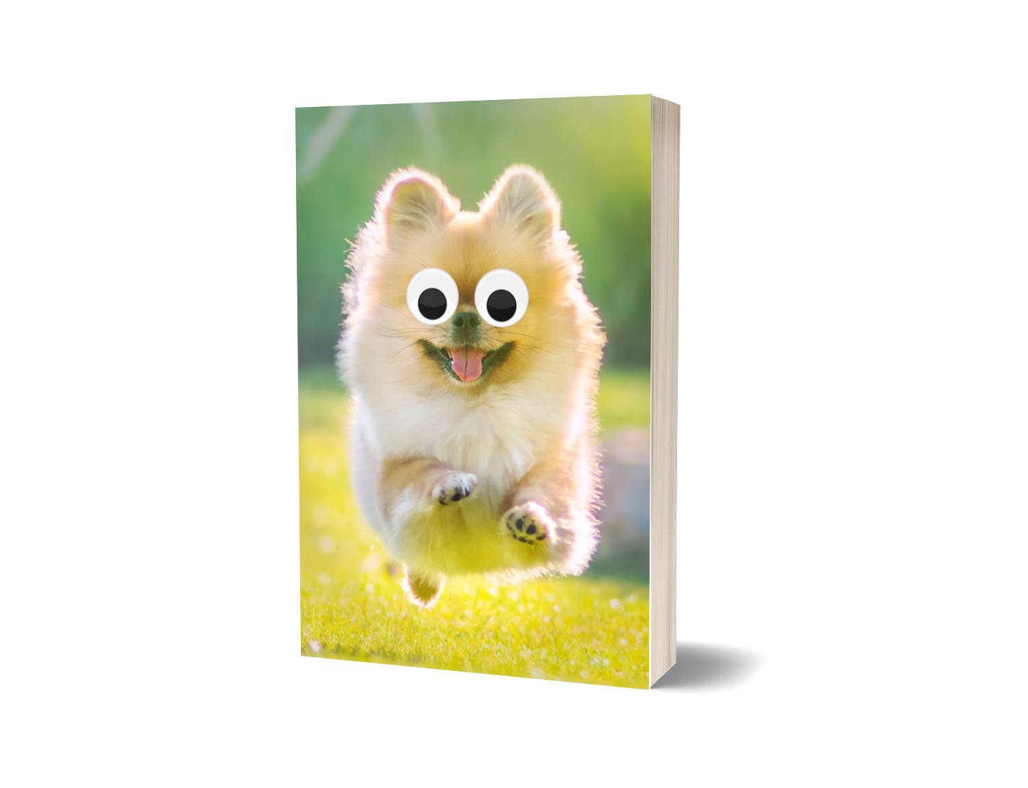 Pomeranian Journal Notebook